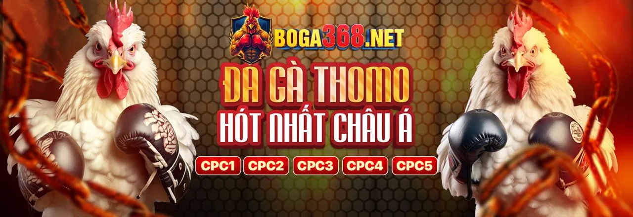Tiền Thưởng Chào Mừng Thành Viên Mới tại rtp 456win - ưu đãi hấp dẫn